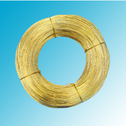 世界怎么了？黃銅圓線得多讀書多看報了